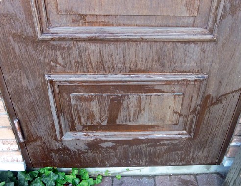 玄関ドアのカビ落としの画像